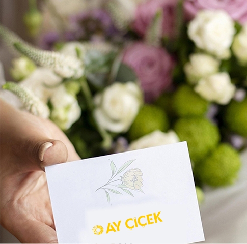 https://www.aycicekankara.com/